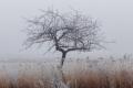 В Украину идет похолодание с мокрым снегом