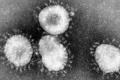 Китай выделил $144 миллиона на борьбу с коронавирусом