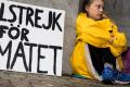 Тунберг призывает перевести климатические протесты в онлайн