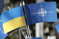 В Кремле прокомментировали новый статус Украины в НАТО