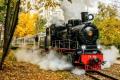 В музей детской железной дороги в Киеве можно будет попасть бесплатно