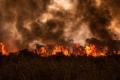 В Бразилии выгорела треть самого большого в мире болота Пантанал