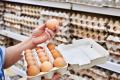 Виробництво яєць в Україні зменшилося на 13%