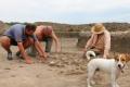 Археологи возобновят раскопки самого большого города трипольцев