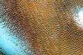 NASA показало «море дюн» на Марсе