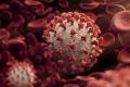 Вчені НАНУ прогнозують у найближчі тижні понад 10 тисяч випадків коронавірусу щодня