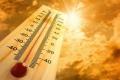 В Чернигове жара побила 70-летний рекорд