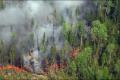 Россия в огне: на востоке страны горит около тысячи гектаров лесов