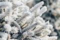 От 15° мороза до 7° тепла: Украине прогнозируют температурные «качели»