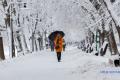 Україні прогнозують у четвер сніг та дощ, підморозить до 12°
