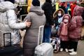 Українцям пояснили різницю між статусами біженця та тимчасовим захистом