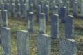 Рада ухвалила закон щодо створення Національного військового меморіального кладовища