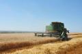 Україна випереджає Канаду за рівнем розвитку агротехнологій, - Довбенко