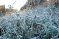 В Украине будут трещать 12-градусные морозы уже на этой неделе