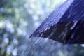 Грозові дощі та спека: синоптики розповіли, якою буде погода на вихідні