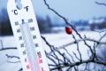 На выходных в Украине обещают похолодание до 4° мороза