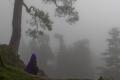 Вранці - туман, вдень - до 12° тепла: прогноз погоди в Україні на п'ятницю, 11 листопада