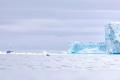 Самый большой антарктический айсберг растаял 