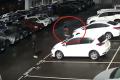 Школьники в Австралии 10 и 13 лет разбили в автосалоне Toyota 37 новеньких авто - есть видео 