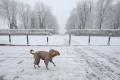 Перші вихідні грудня принесуть в Україну сильні морози