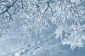 Морози в Україні досягнуть -22°: синоптик розповів, де буде найхолодніше