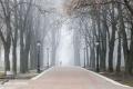 Київську область 14 листопада накриють сильні тумани: попередження від синоптиків