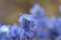 В Україні прогнозують короткочасний дощ, до +32°