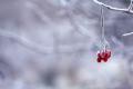 Прогноз погоди на 1 лютого: в Україні місцями невеликий сніг та сильний вітер