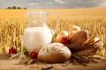 Масло, хлеб и не только; Украина продала в ЕС агропродукции на $5,2 миллиарда