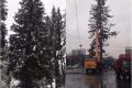 В Молдове главную елку страны уничтожили по дороге из Украины
