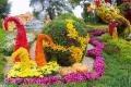 Сегодня в Киеве на Певчем поле открылась выставка хризантем