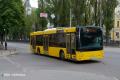 У Києві на поминальні дні запустять додаткові автобуси до кладовищ: список маршрутів