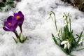 До України повернулася зима: 29 березня будуть сніг, сильний вітер і мороз до - 5°