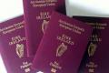 Ирландия выдала рекордное количество паспортов иностранцам