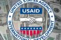 USAID разрабатывает правила гигиены для производителей свинины в Украине