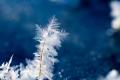 В Україну прийдуть 20-градусні морози і снігопади: синоптик назвав дату