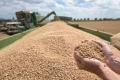 Як відключення світла вплинули на виробництво продуктів: відповідь Мінагрополітики