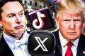 Альянс Трампа і Маска розпався: як колишні союзники перетворилися на запеклих ворогів