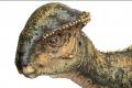 Вчені виявили новий вид динозаврів з унікальною будовою черепа