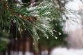 Синоптикиня розкрила причину сьогоднішніх опадів та попередила про несподівану погоду на Різдво та Новий рік