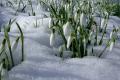 Потепління до +11 та мокрий сніг: якою буде погода в Україні на початку лютого
