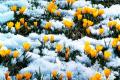 7 лютого Україну охопить справжнє весняне тепло