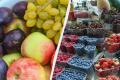 Що буде з урожаєм фруктів і ягод в Україні: експерти дали невтішний прогноз