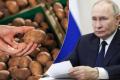 У РФ почалася картопляна криза: ціни зросли у 4 рази, а продукт став розкішшю