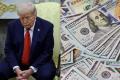 Долар впав до трирічного мінімуму через митні погрози Трампа, – FT