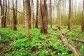 Гороскоп на 15 березня для всіх знаків зодіаку: день, коли у взаєминах людей панують мир та злагода