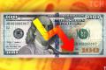 Курс валют в Україні: долар стрімко летить донизу – так дешево давно не було, купувати чи продавати