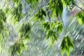 Дощі з грозами охоплять Україну: синоптики розказали, де литиме