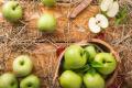 В Україні зростають ціни на яблука: вартість б'є рекорди