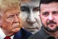 Трамп передав вимогу Путіна щодо територій: що відповів Зеленський – Reuters